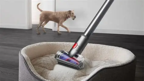 Dyson V12 Detect Slim