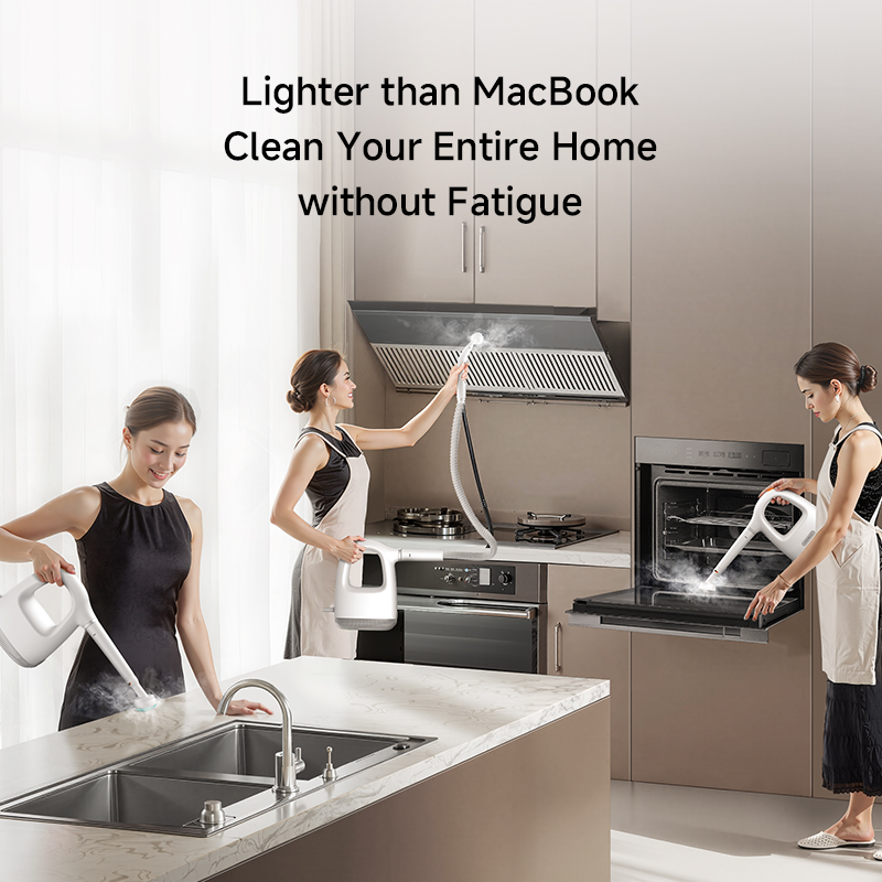 Handheld Steam Machine ZQ01