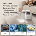 Handheld Steam Machine ZQ01