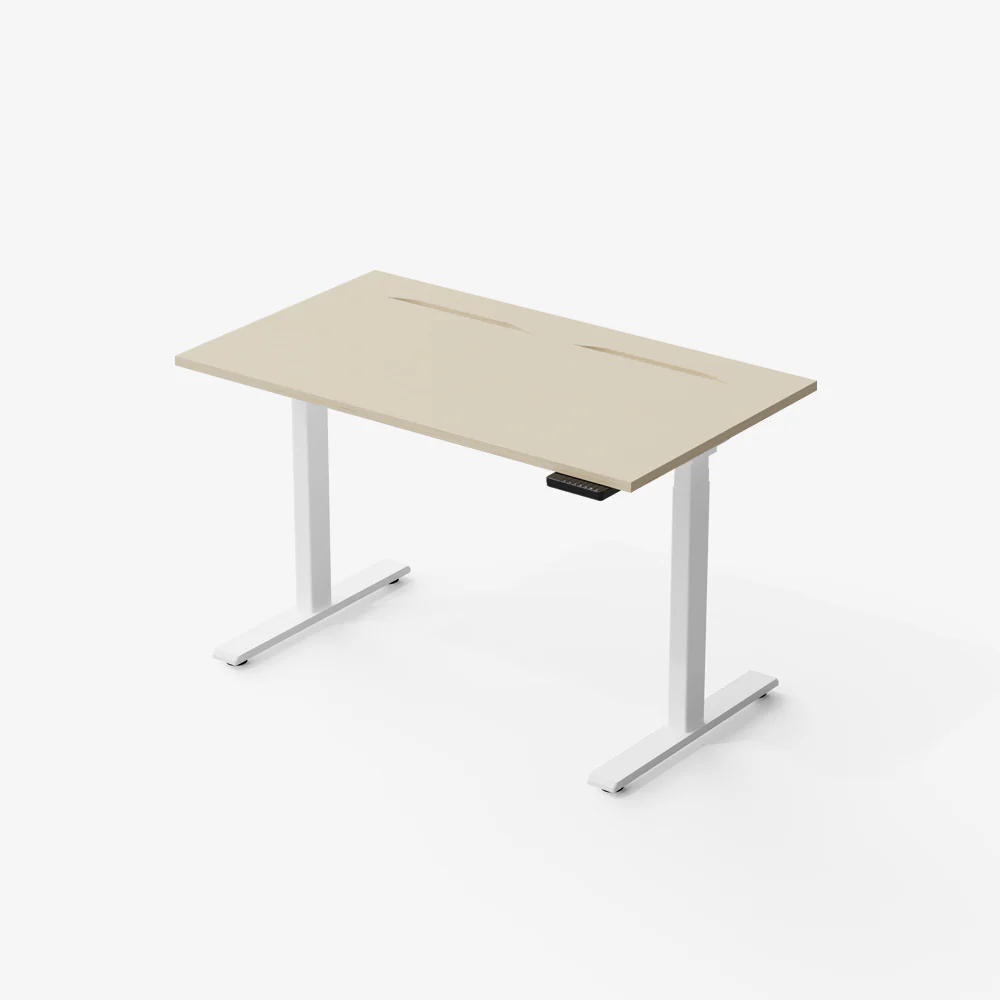 TEKDEC 2 MAX & DUAL Motor 3 - Stages (Өндрийн тохируулгатай цахилгаан ширээ)