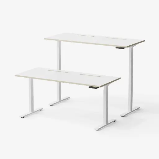 TEKDEC 2 MAX & DUAL Motor 3 - Stages (Өндрийн тохируулгатай цахилгаан ширээ)